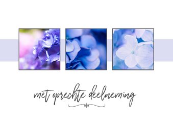 Condoleance - collage hortensia met oprechte deelneming