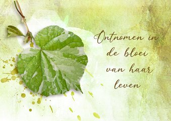 Condoleance kaart fris groen blad