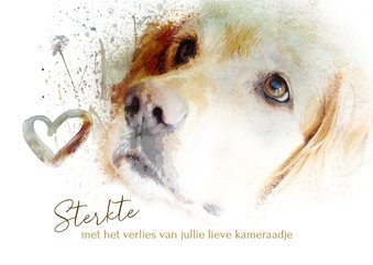 Condoleancekaart pastel golden retriever