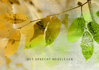 Condoleancekaart van groen naar herfst