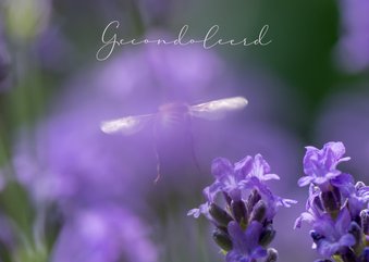 Condoleancekaart verstilde foto met bloemen en bij