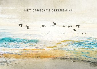 Condoleancekaart vogelvlucht boven zee