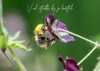 Dierenkaart, fleurige bloemen en gestreepte hommel