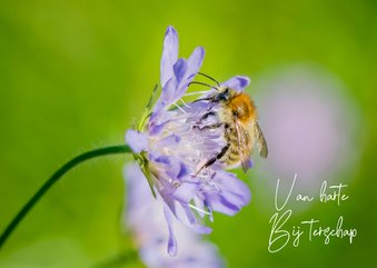 Dierenkaart met vrolijke paarse bloem en bij