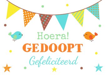 Felicitatie doopsel vlag en vogels