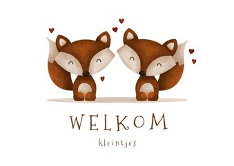 Felicitatie geboorte tweeling vosjes met hartjes lief