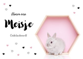 Felicitatie kaart - Geboorte - Lief konijntje roze hartjes