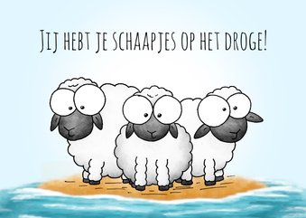 Felicitatie schapen jij hebt je schaapjes op het droge!