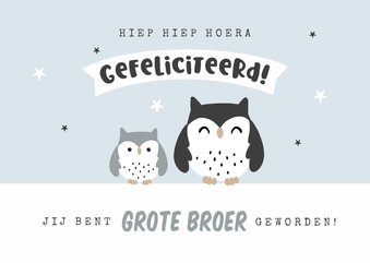 Felicitatiekaart broertje broer uiltjes geboorte baby jongen