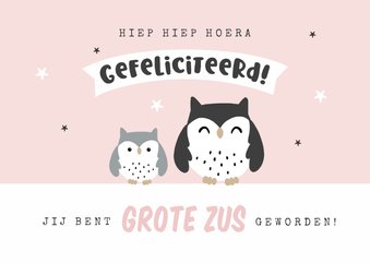 Felicitatiekaart broertje uiltjes geboorte baby meisje zus