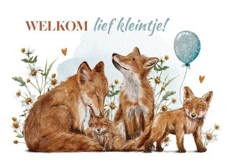 Felicitatiekaart geboorte jongen met vosjes en ballon