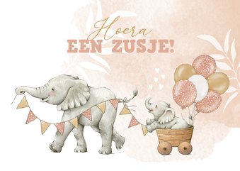 Felicitatiekaart geboorte voor zusje met lieve olifantjes