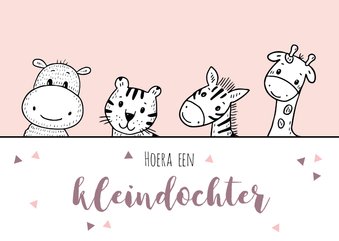 Felicitatiekaart kleindochter met safaridieren 