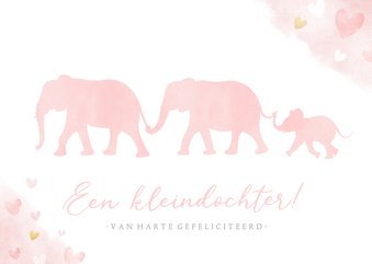 Felicitatiekaart kleinkind met silhouet van 3 olifantjes