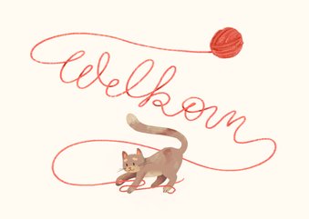 Felicitatiekaart nieuwe kat of poes speelt met wol