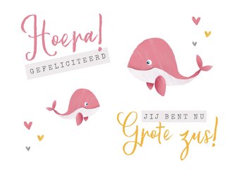 Felicitatiekaartje geboorte meisje zusje walvisjes hartjes