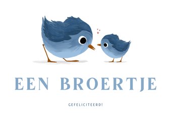 Felicitatiekaartje voor een broertje met lieve vogeltjes