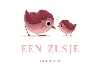 Felicitatiekaartje voor een zusje met lieve vogeltjes