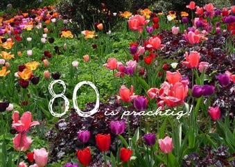 Fleurige tulpenmix