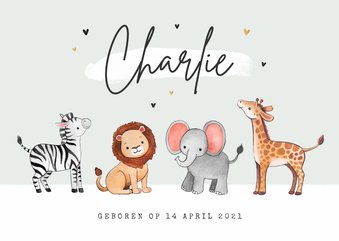 Geboortekaartje jungle dieren olifant zebra giraf leeuw 