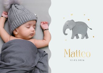 Geboortekaartje olifant foto goud hartjes hip lief