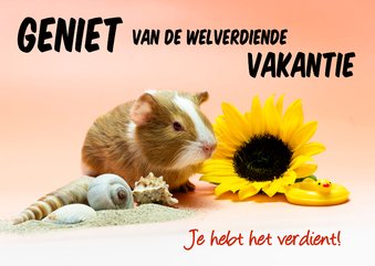 Geniet van je welverdiende vakantie! cavia kaart
