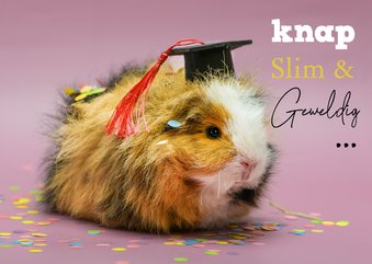 Geslaagd cavia kaart