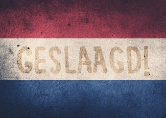 GESLAAGD Nederlandse vlag - DH