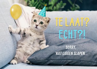 Grappig verjaardagskaartje te laat kat met ballon en hoedje