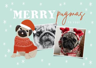 Grappige kerstkaart merry pugmas sterren en foto's op blauw