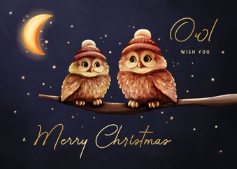 Grappige kerstkaart owl wish you uiltjes met maan