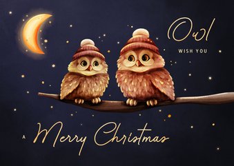 Grappige kerstkaart owl wish you uiltjes met maan