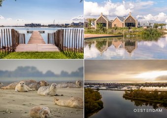 Groeten vanaf de Oesterdam - Zeeland