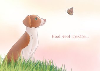 Hondje Hana Sterkte kaart 2