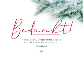 Kerstkaart 'Bedankt' dennentakjes en quotes