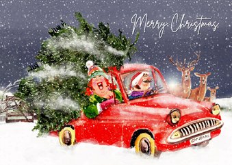 Kerstkaart boom op het dak van de auto