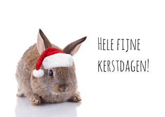 Kerstkaart konijn met kerstmuts