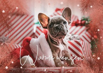 Kerstkaart met foto en kersttakken en sterretjes