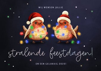 Kerstkaart roodborstjes met lampjes stralende feestdagen