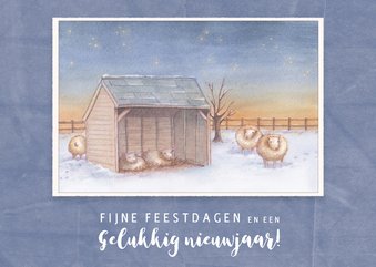 Kerstkaart schapen in een schuurtje