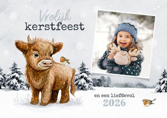 Kerstkaart Schotse hooglander roodborstjes foto winter