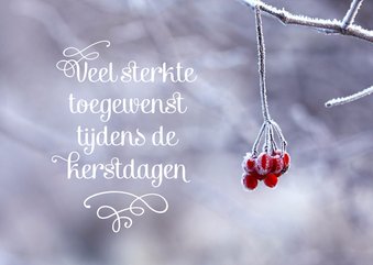 Kerstkaart sterkte winter