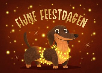 Kerstkaart vrolijk teckel hond lichtpuntjes fijne feestdagen