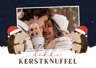 Kerstkaartje dikke kerstknuffel egeltjes en foto 