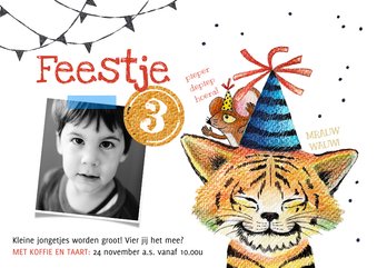 Kinderfeestje tijger kat jongen