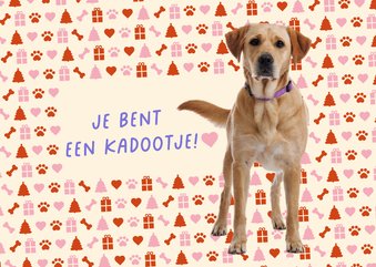 KNGF bedankkaart met staande hond