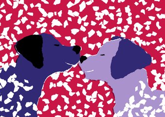 KNGF bedankkaart met twee hondjes in de sneeuw