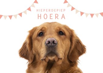 KNGF geleidehond verjaardagskaart hieperdepiep hoera