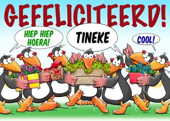 Leuke verjaardagskaart met pinguïns voor een dame