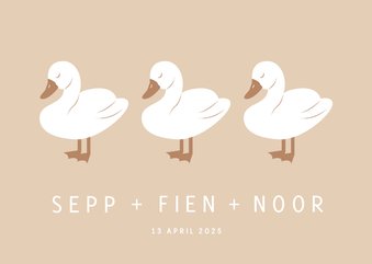 Lief geboortekaartje met drie zwaantjes drieling